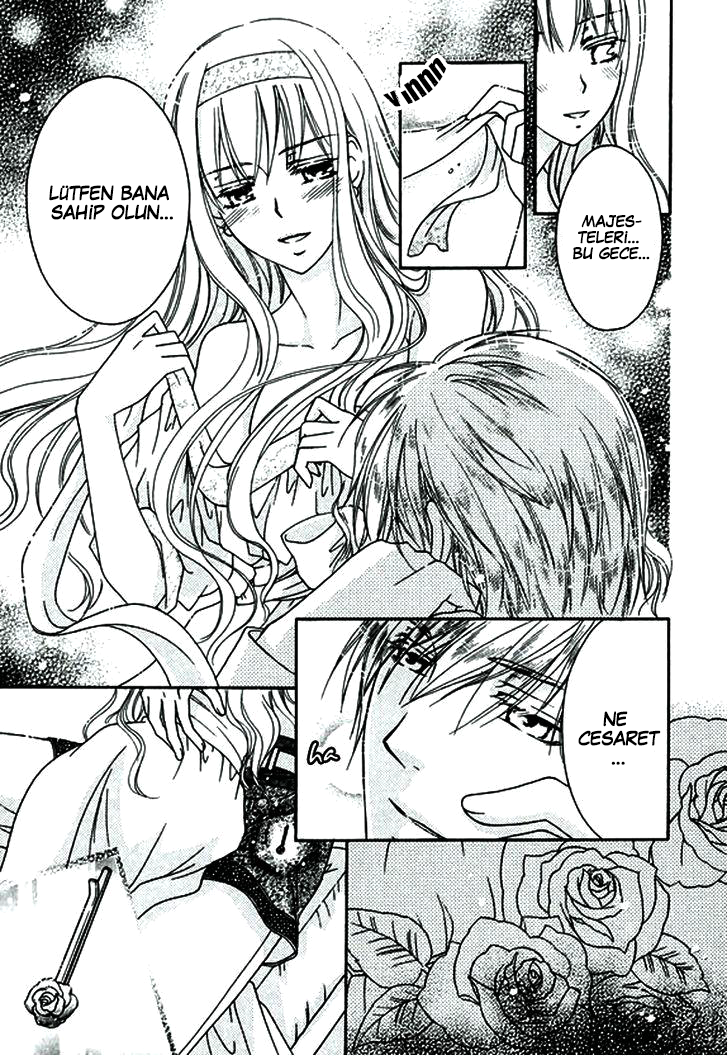 The Knight Princess of Orlelian Oneshot 第112页