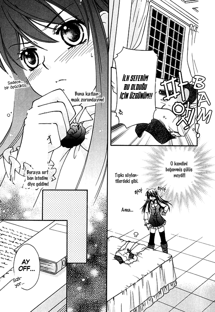 The Knight Princess of Orlelian Oneshot 第21页