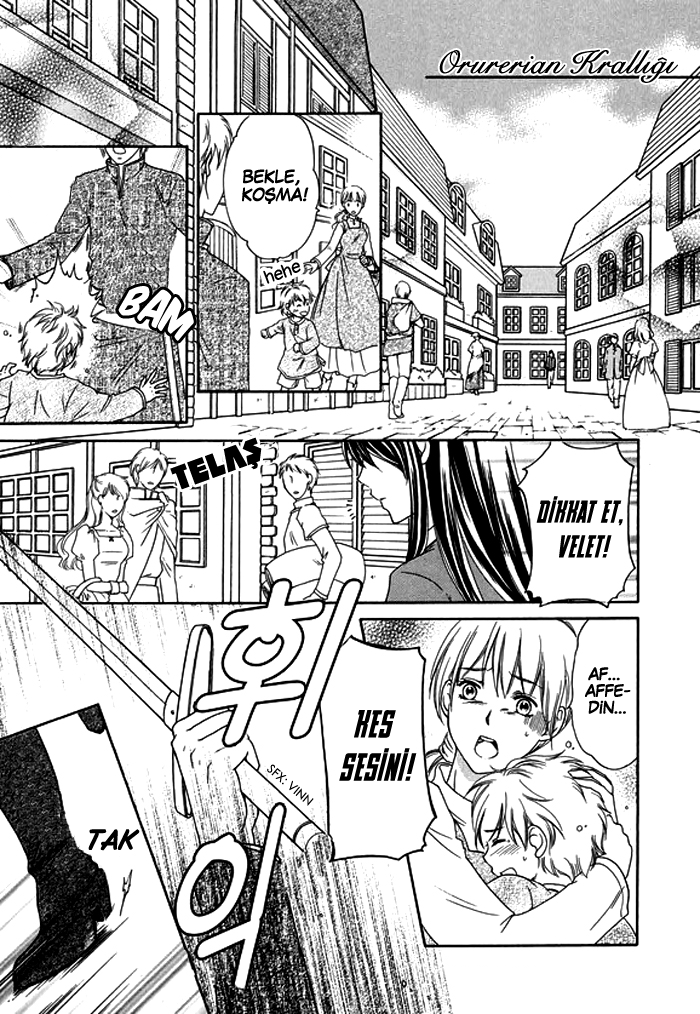 The Knight Princess of Orlelian 第7页