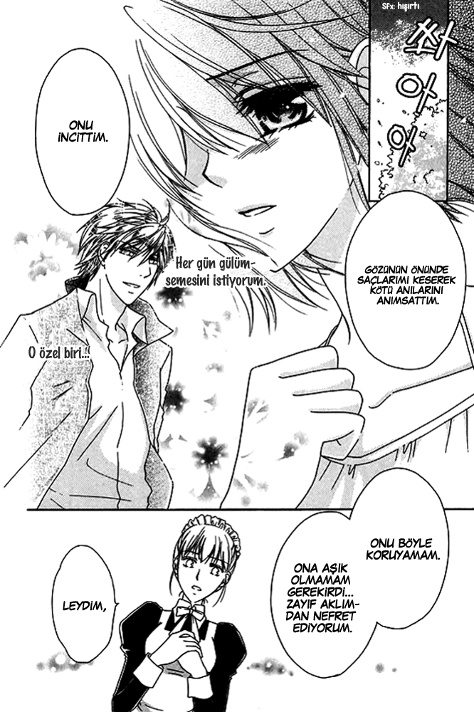 The Knight Princess of Orlelian Oneshot 第100页