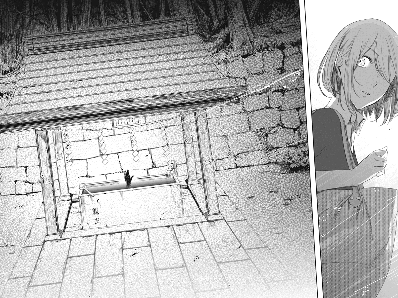 Zero - Kage Miko Karizawa Village 第18页