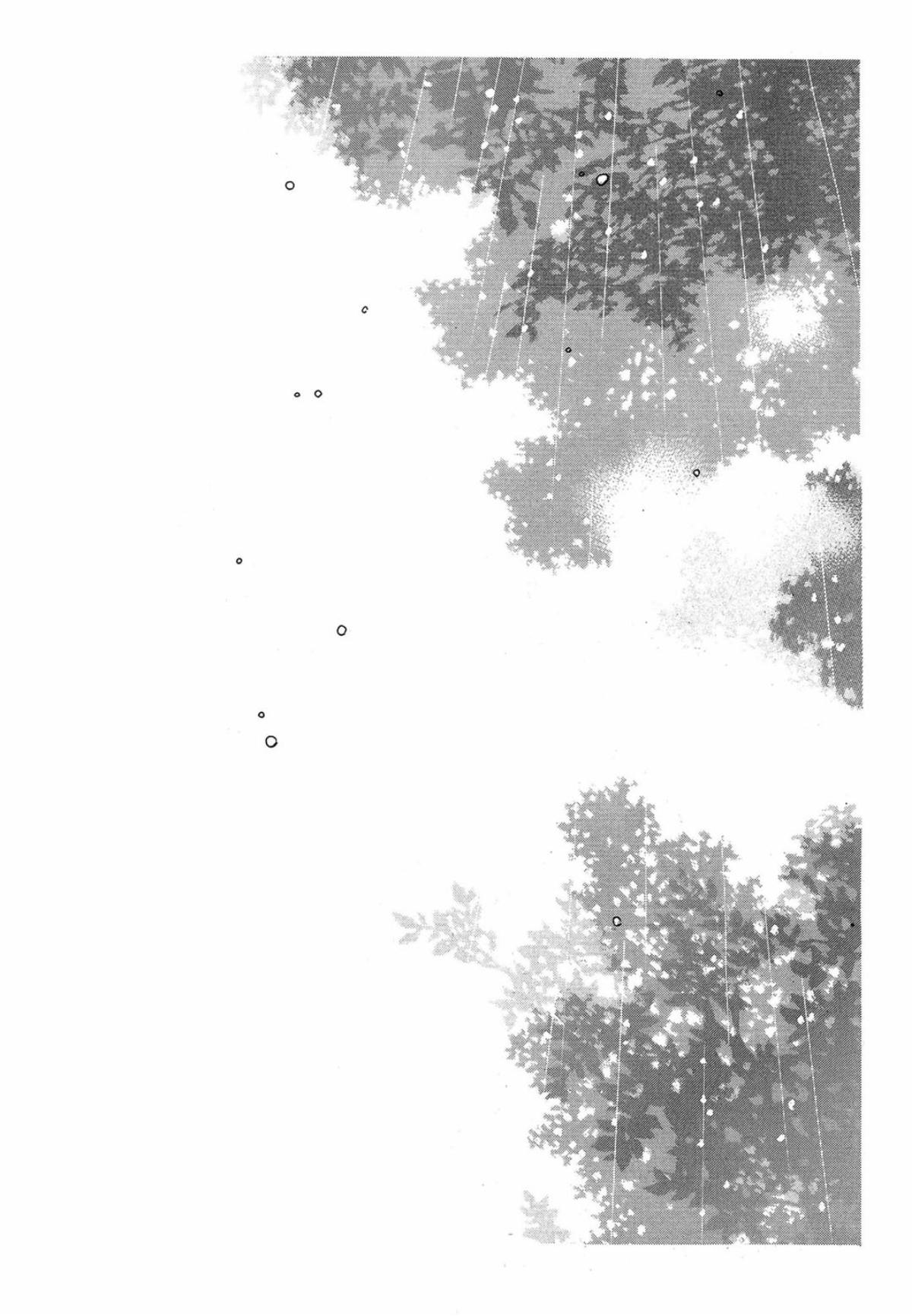 Nabi Vol. 13 Ch. 1 第5页
