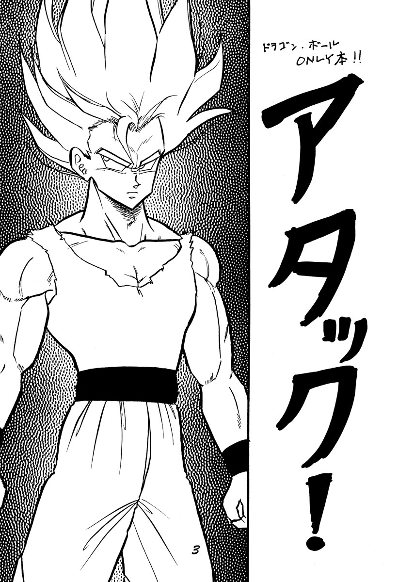 Dragon Ball - Rarara Nishimoto's Attack! (Doujinshi) 第3页
