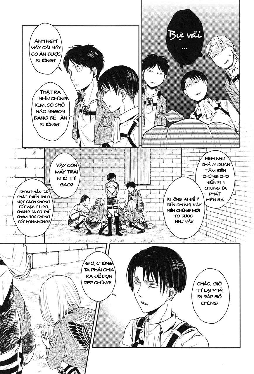 Shingeki no Kyojin - Levi-o'-Lantern (Doujinshi) 第6页