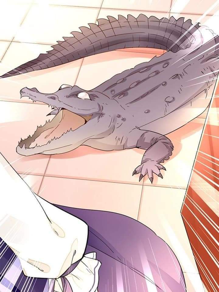Stop! You Sexy Beast Ch. 1 第13页