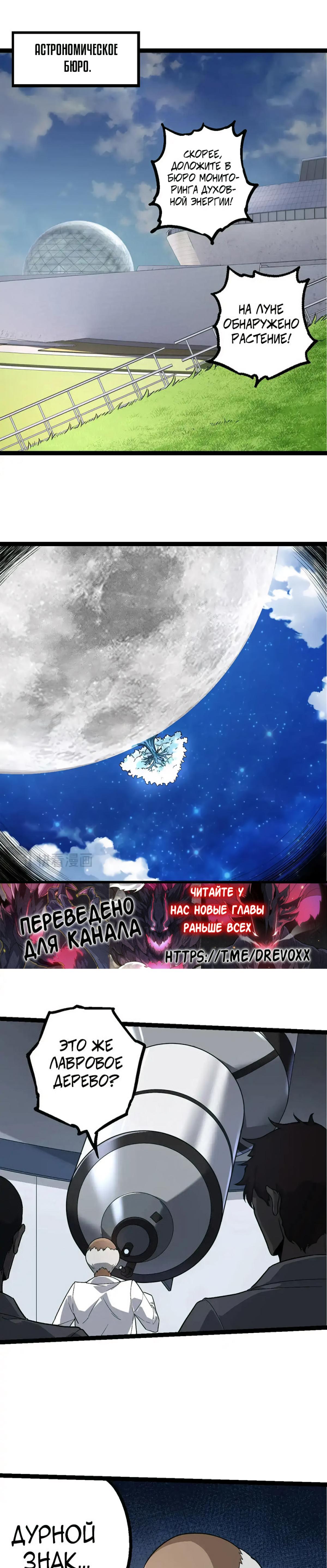Starting Over as a Tree Ch. 202 第11页