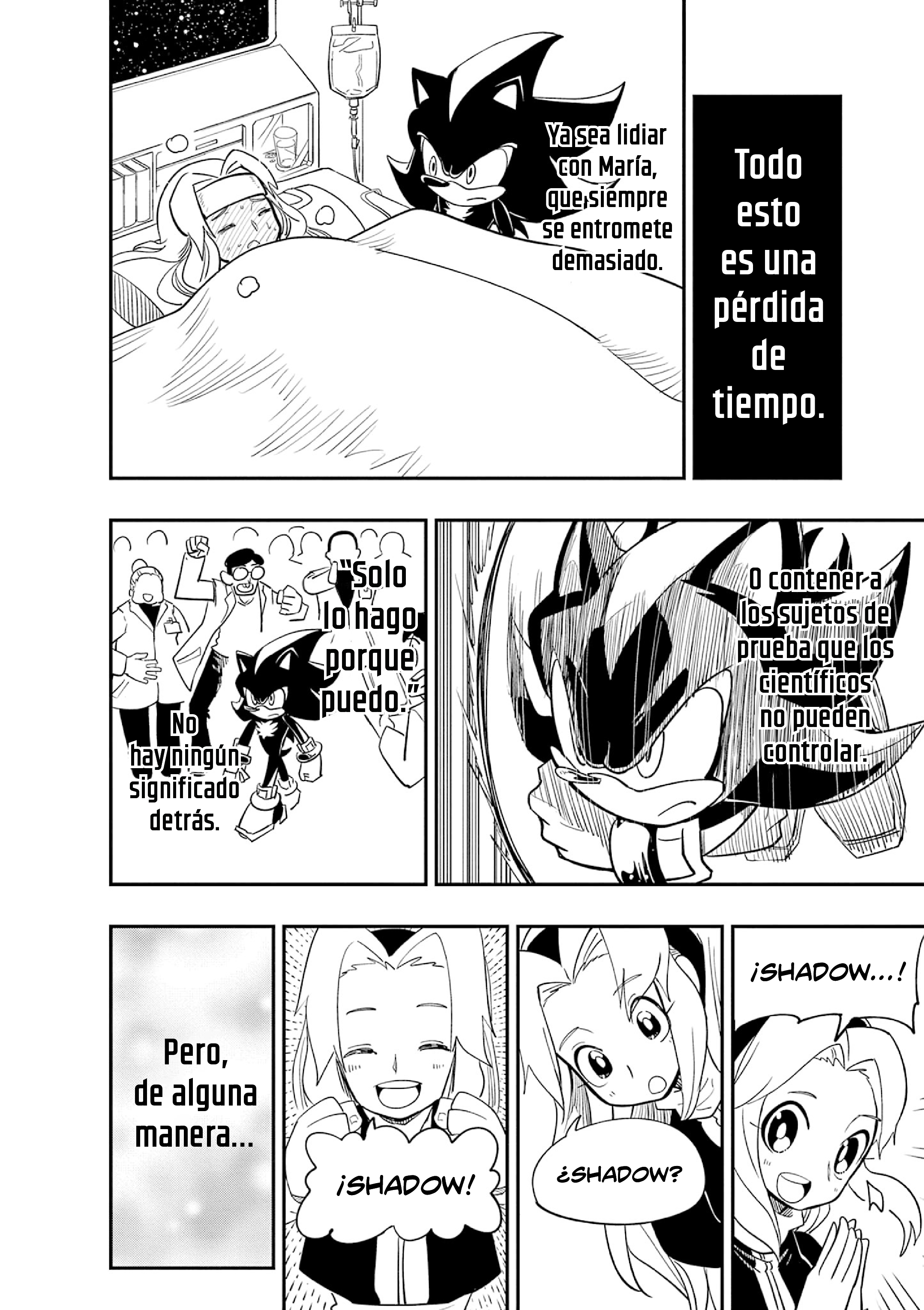 The Jet Black Hedgehog: Shadow the Hedgehog Shadow Y María 第16页