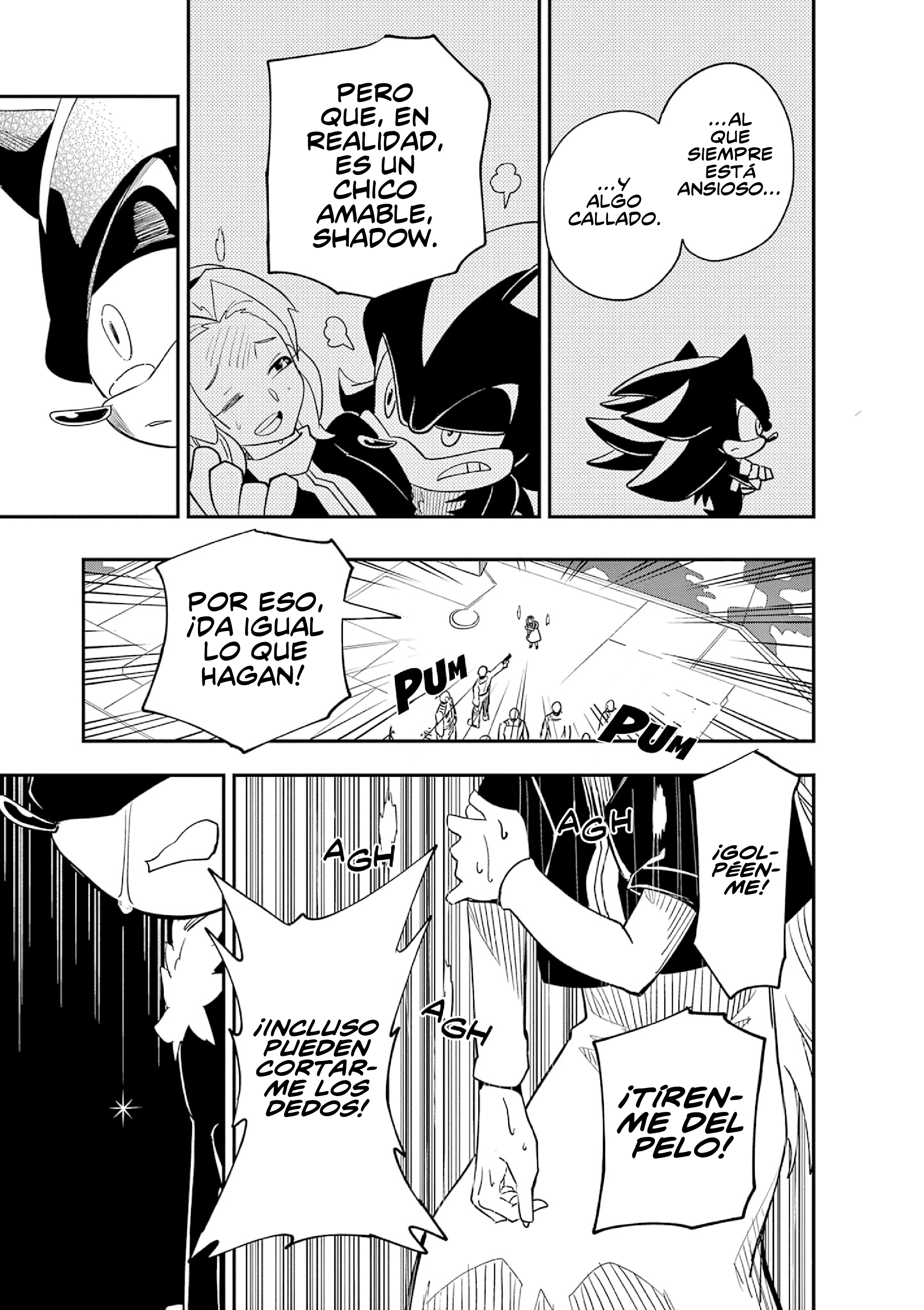 The Jet Black Hedgehog: Shadow the Hedgehog Shadow Y María 第25页