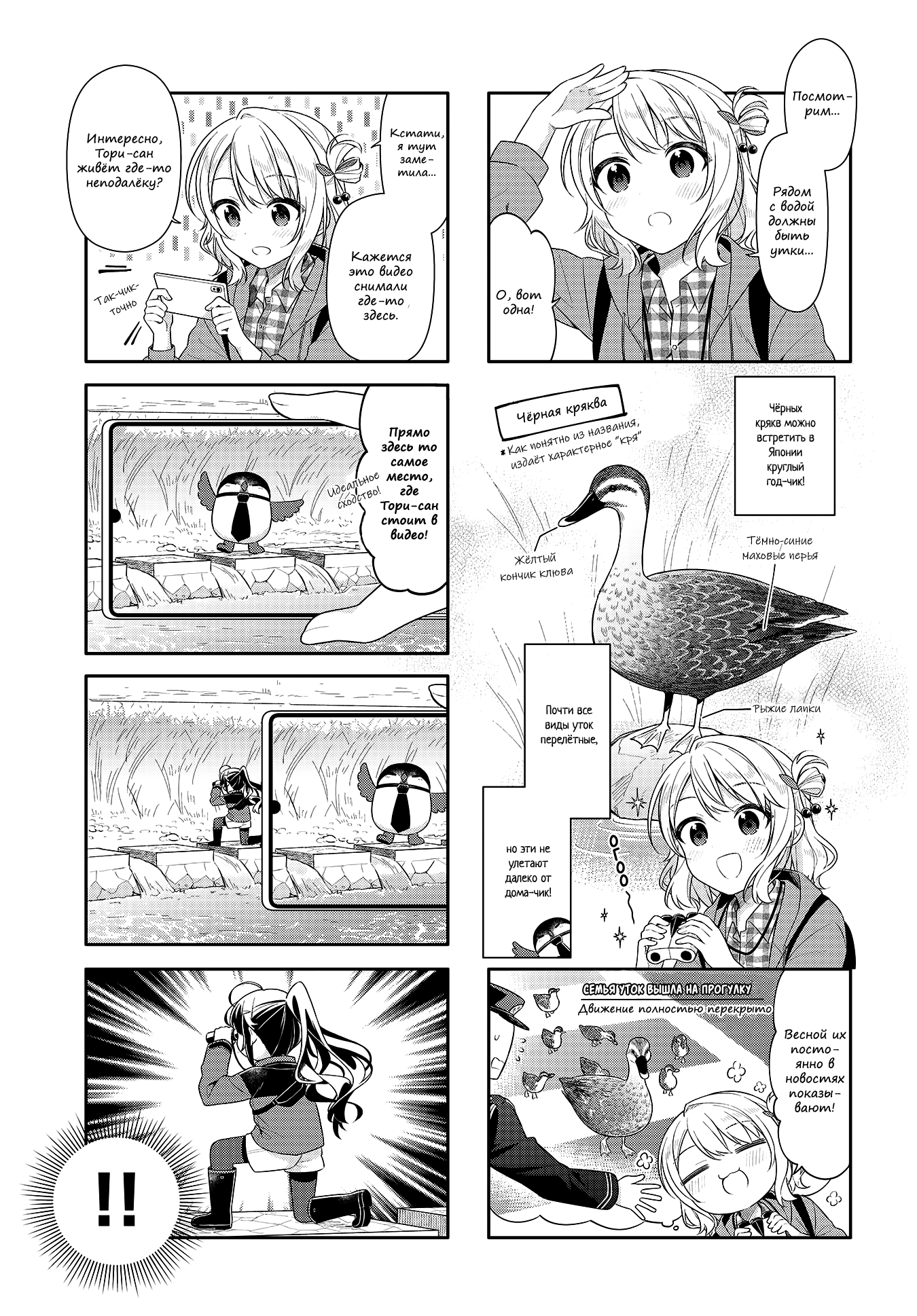 Shiawase Tori-mingu Vol. 1 Ch. 3 第3页