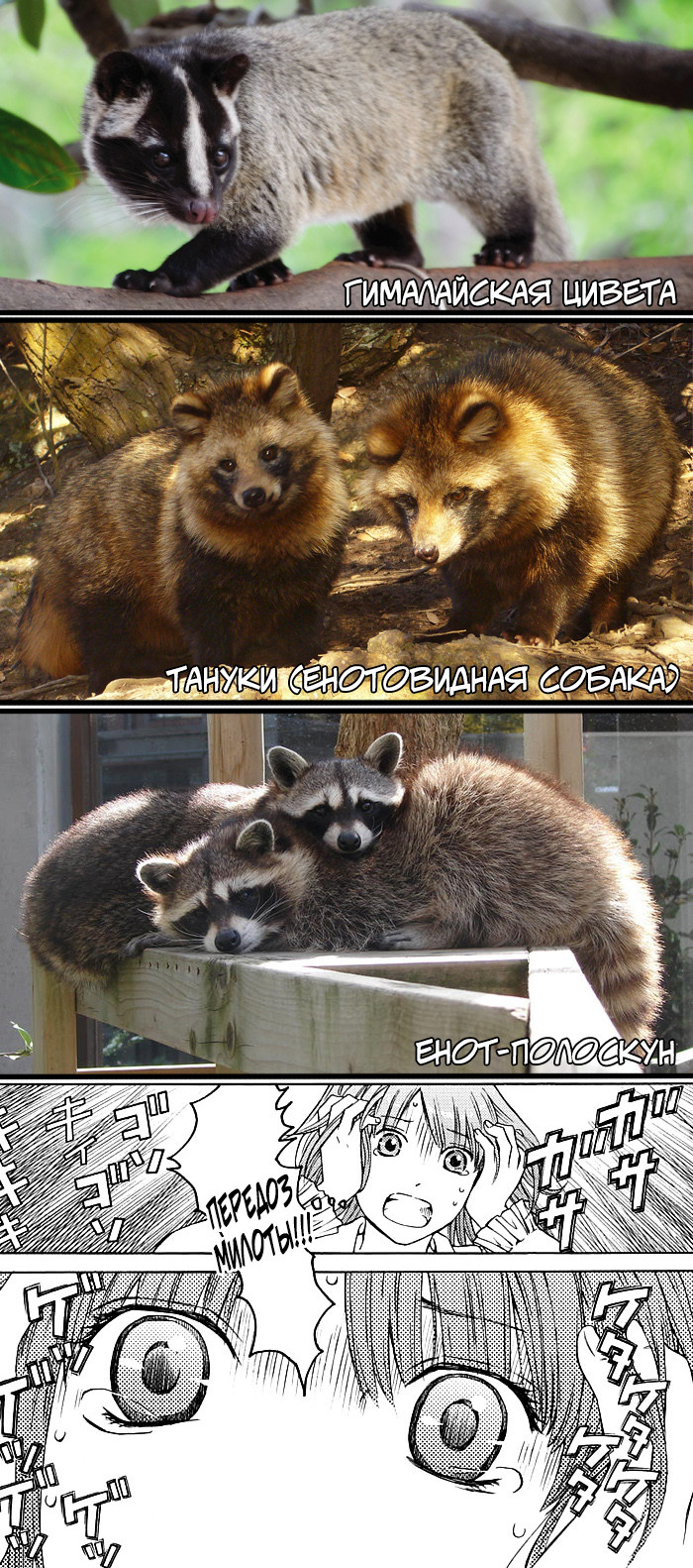 License Vol. 1 Ch. 3 第25页