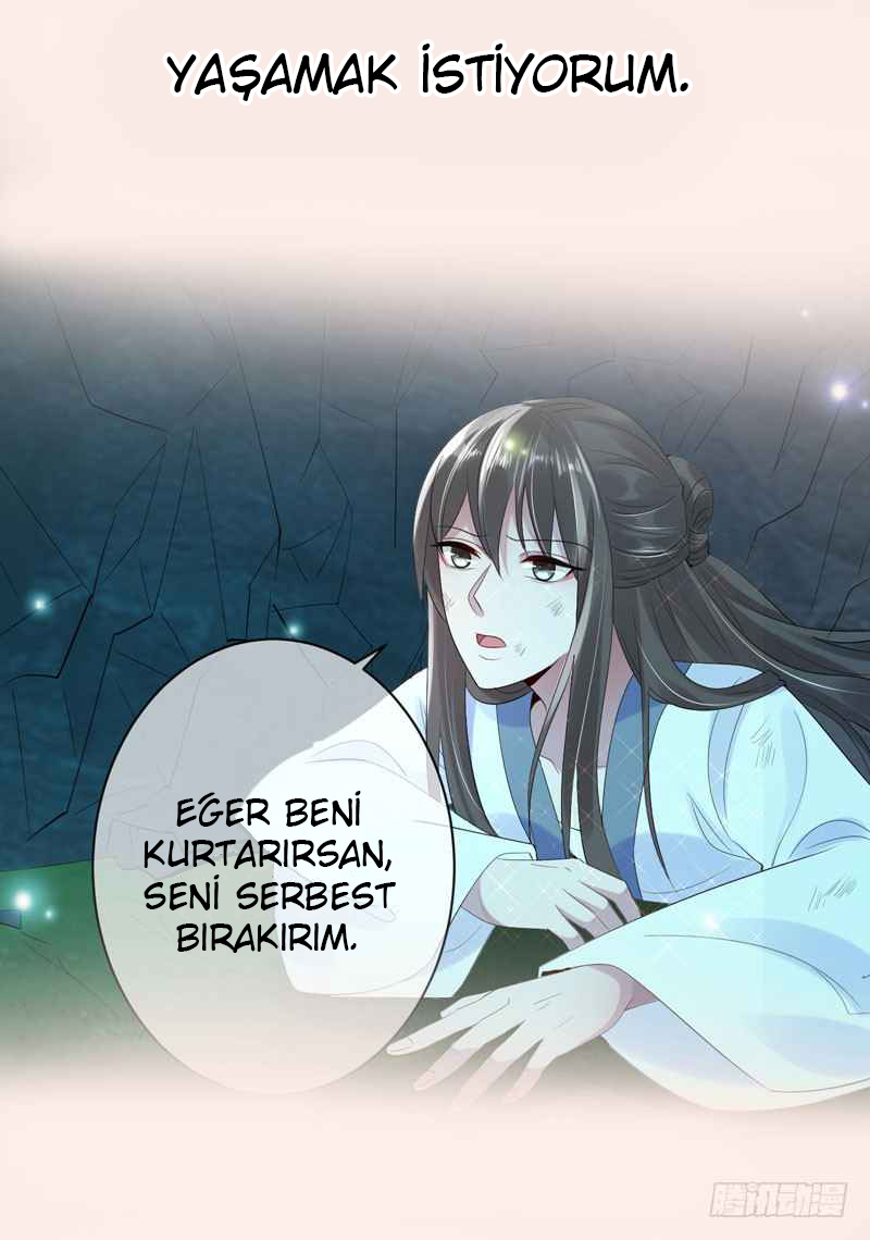 Genius Doctor: Black Belly Miss giriş 第16页