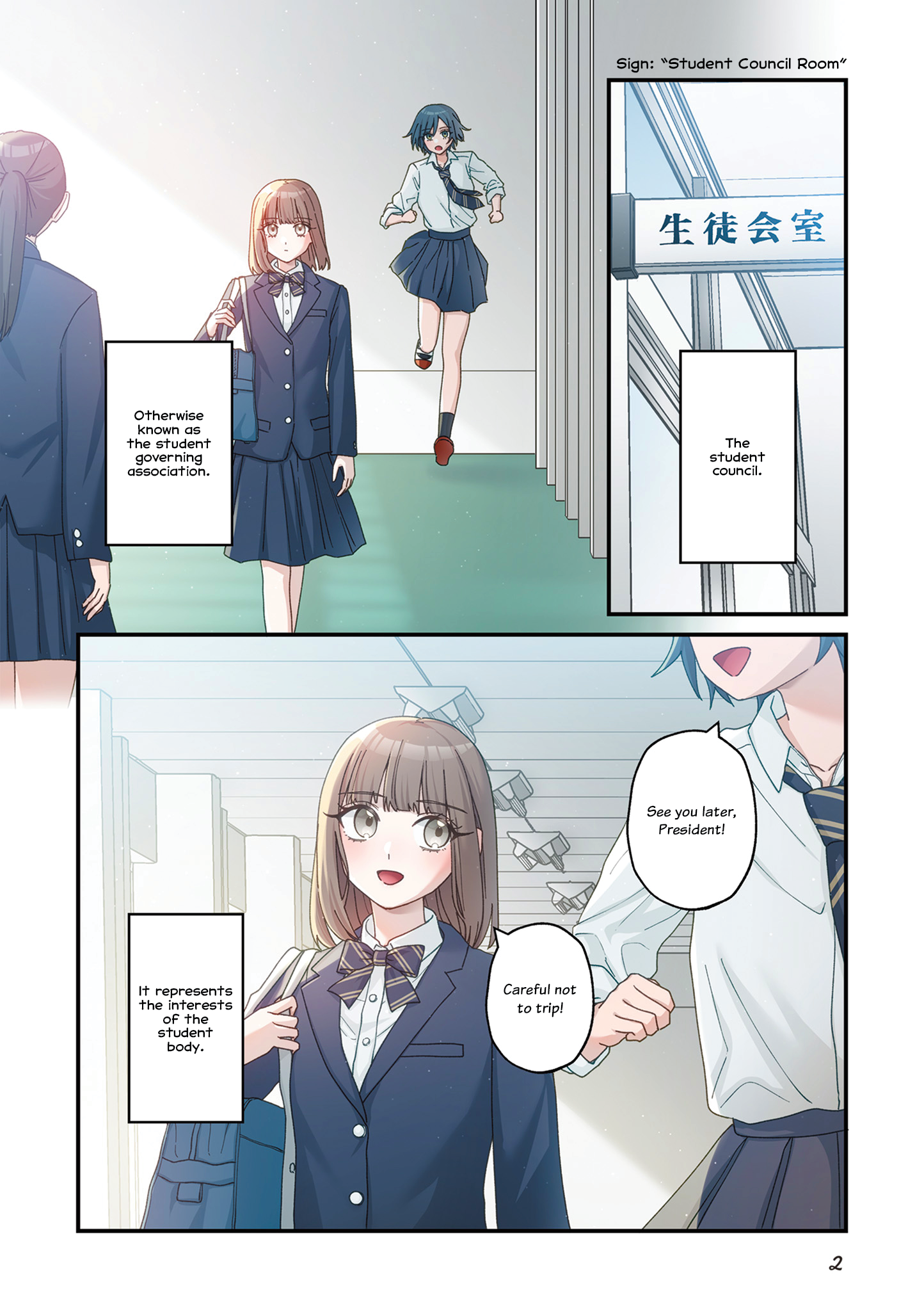 The Main Duties of the Vice President 第5页