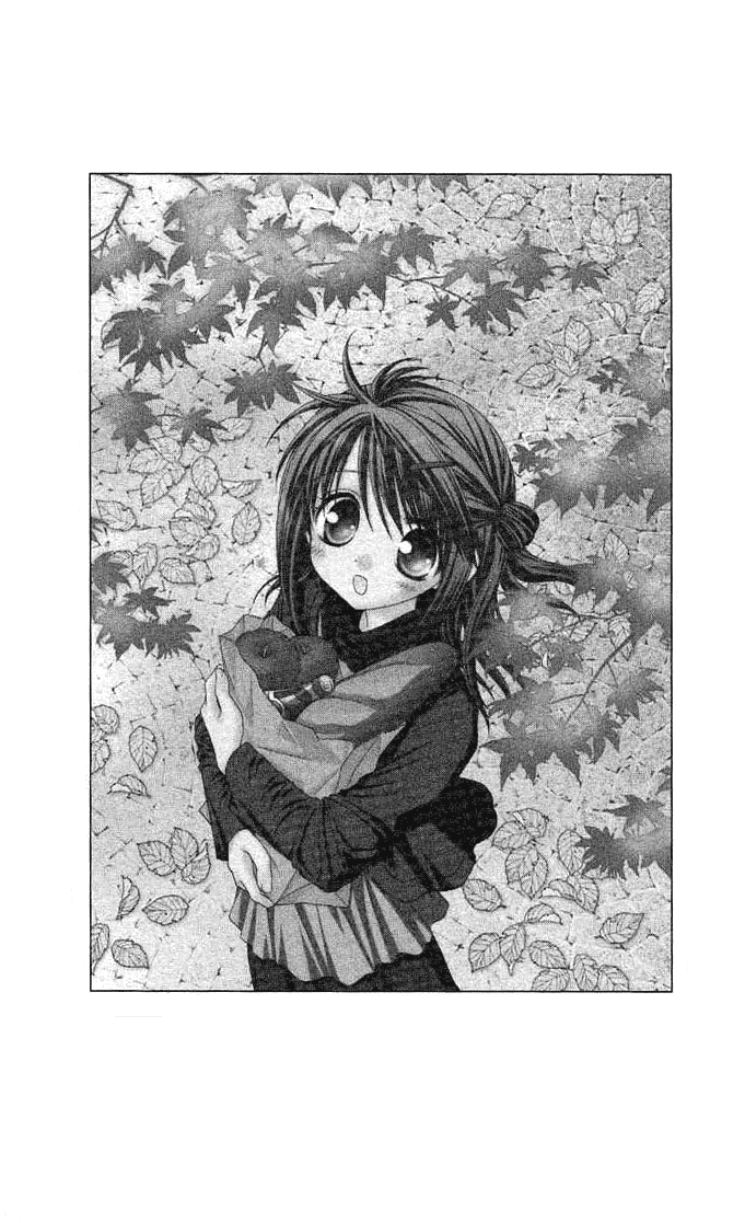 The Season of Love 第4页
