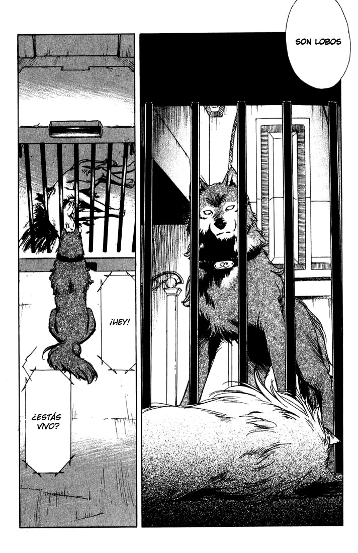 Wolf's Rain Residencia Temporal 第26页