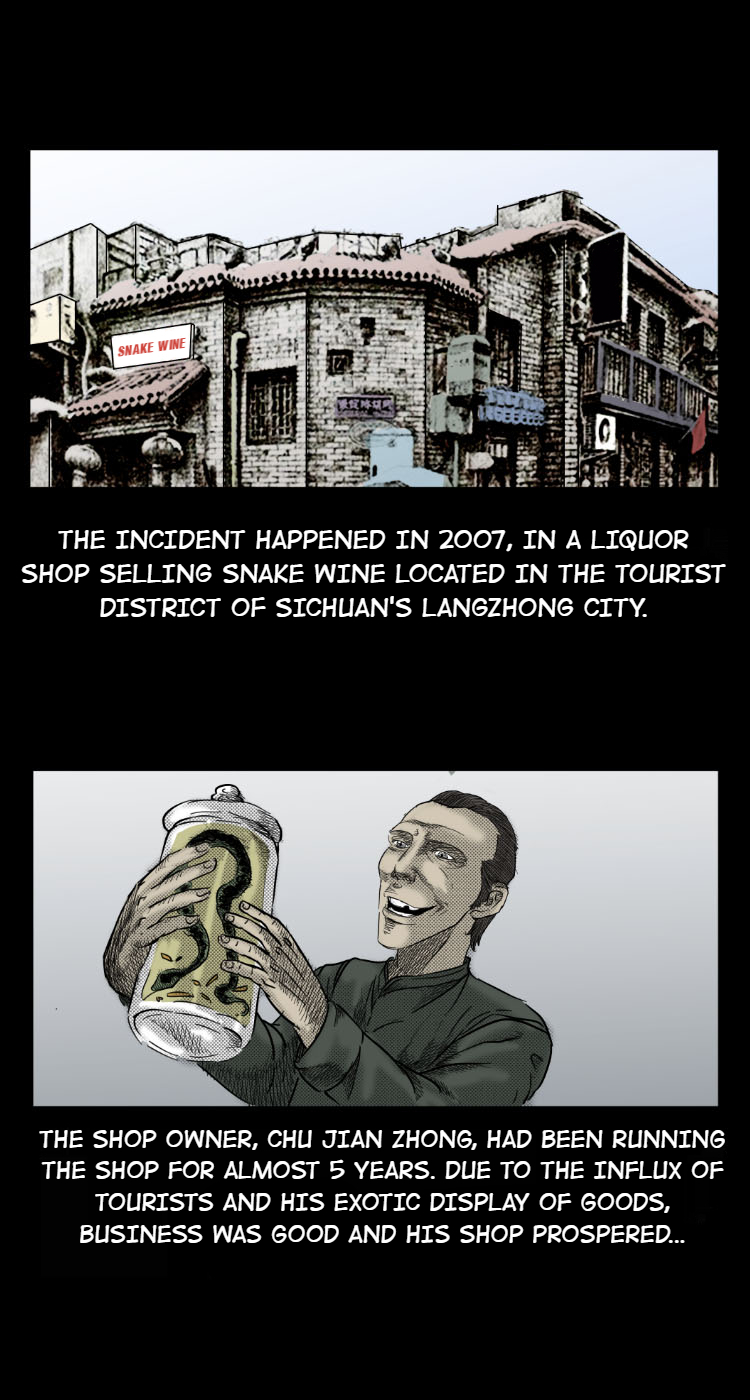 A Collection of Peculiar Happenings Live Snake Wine 第2页