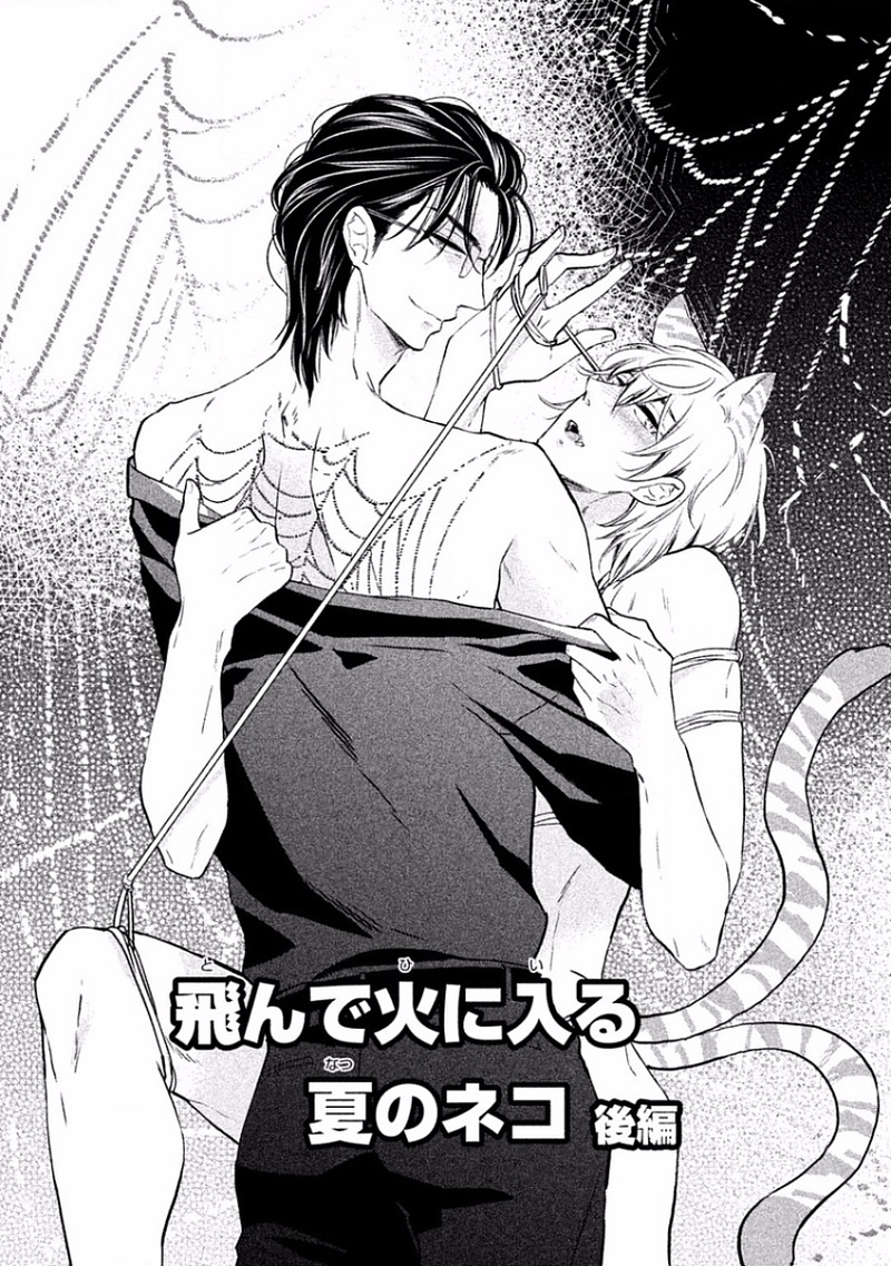 Tonde Hi ni Iru Natsu no Neko Vol. 1 Ch. 2 第2页