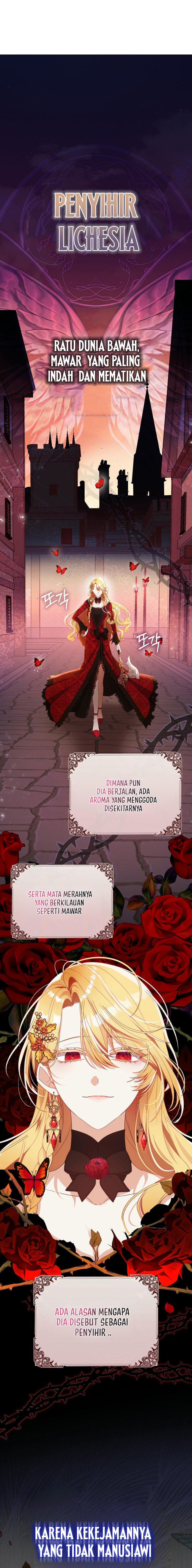 The Baby Fairy Is a Villain 第2页