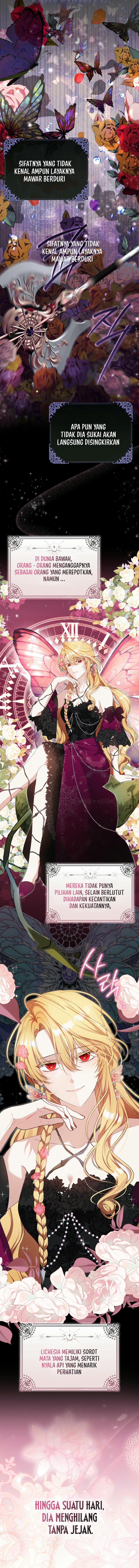 The Baby Fairy Is a Villain 第3页