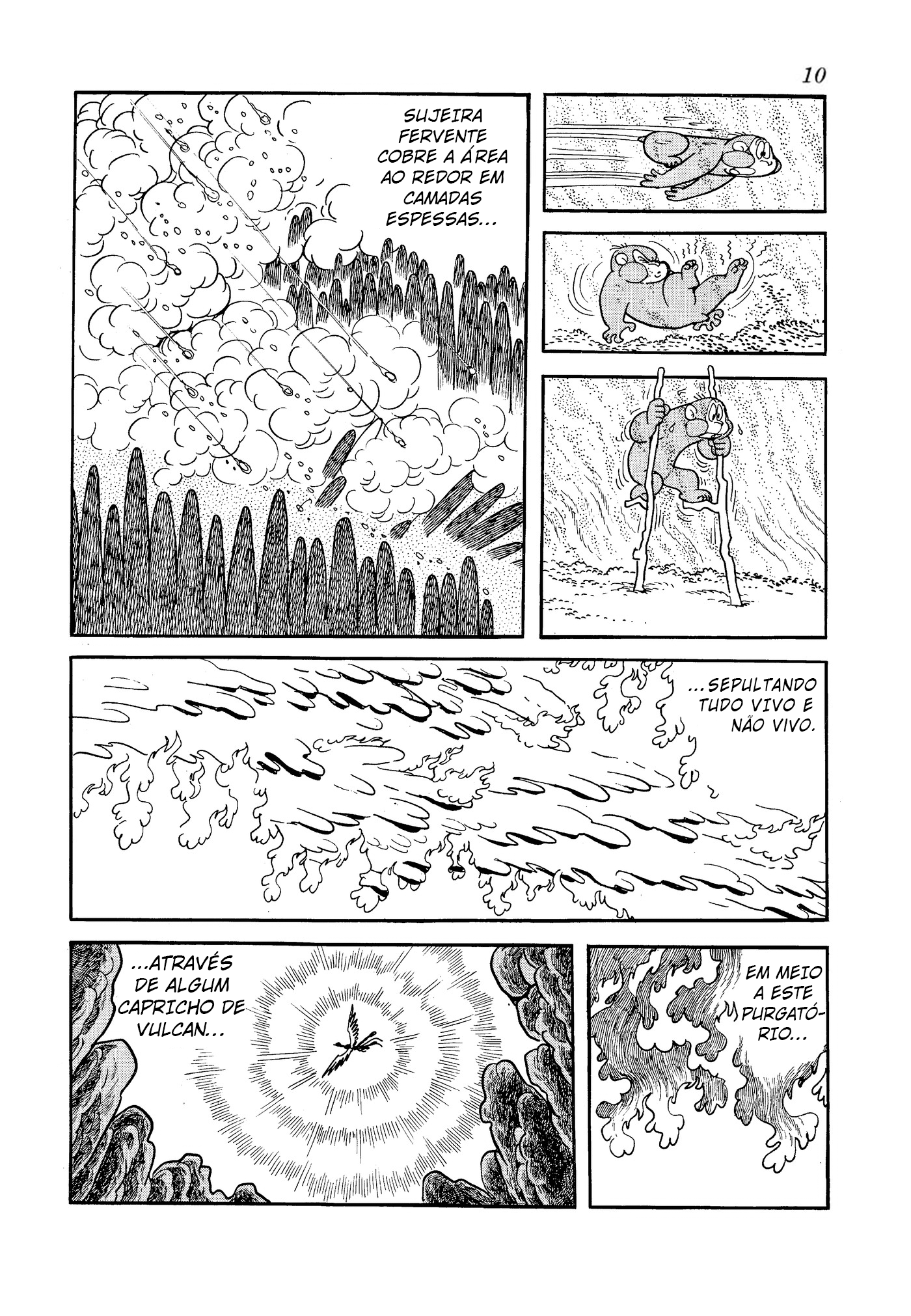 Phoenix O Amanhecer 第11页