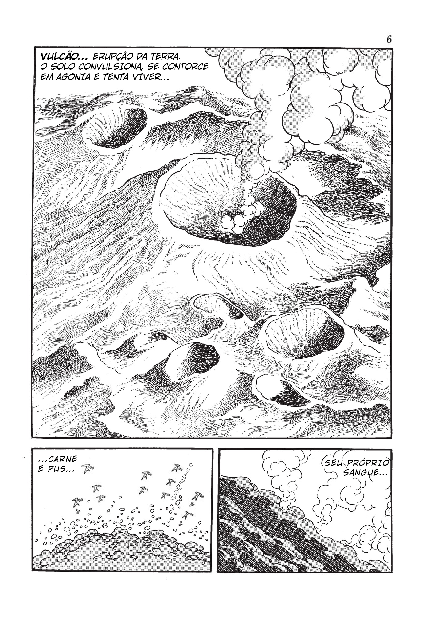 Phoenix 第7页