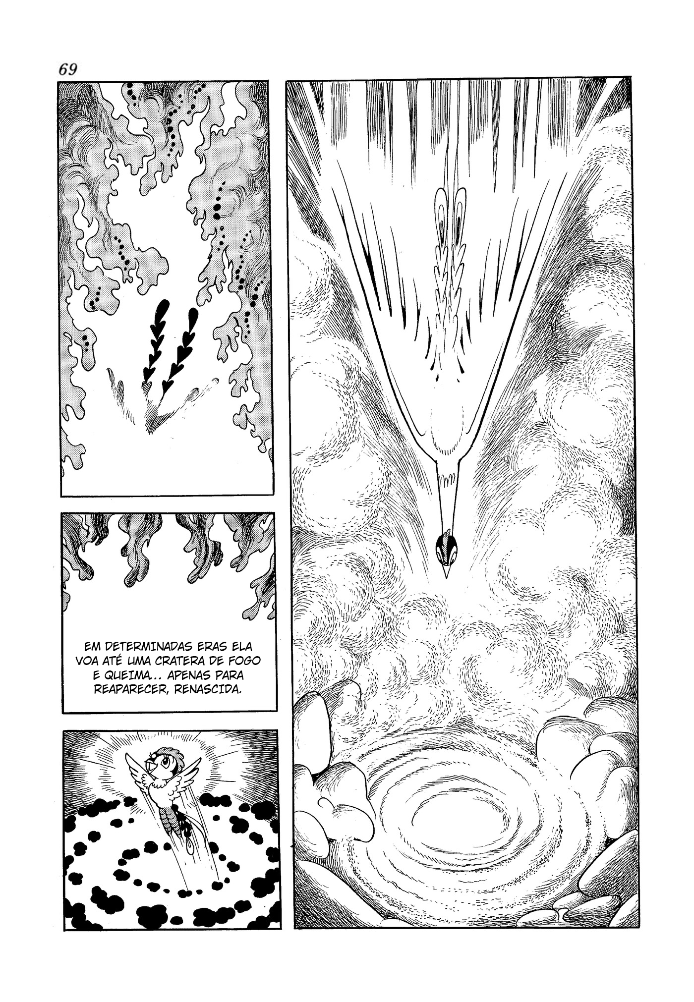 Phoenix O Amanhecer 第69页