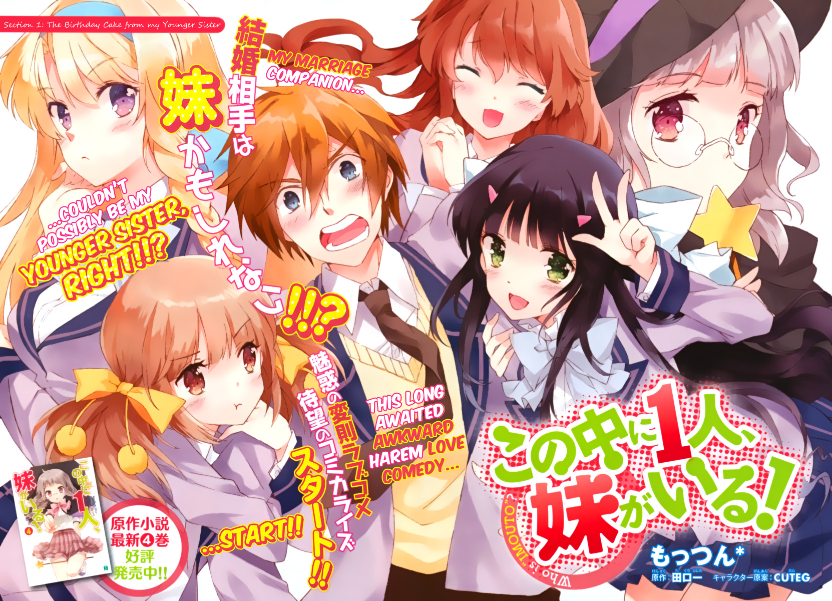 Kono Naka ni Hitori, Imouto ga Iru! The Birthday Cake from my Younger Sister (Part 1) 第2页