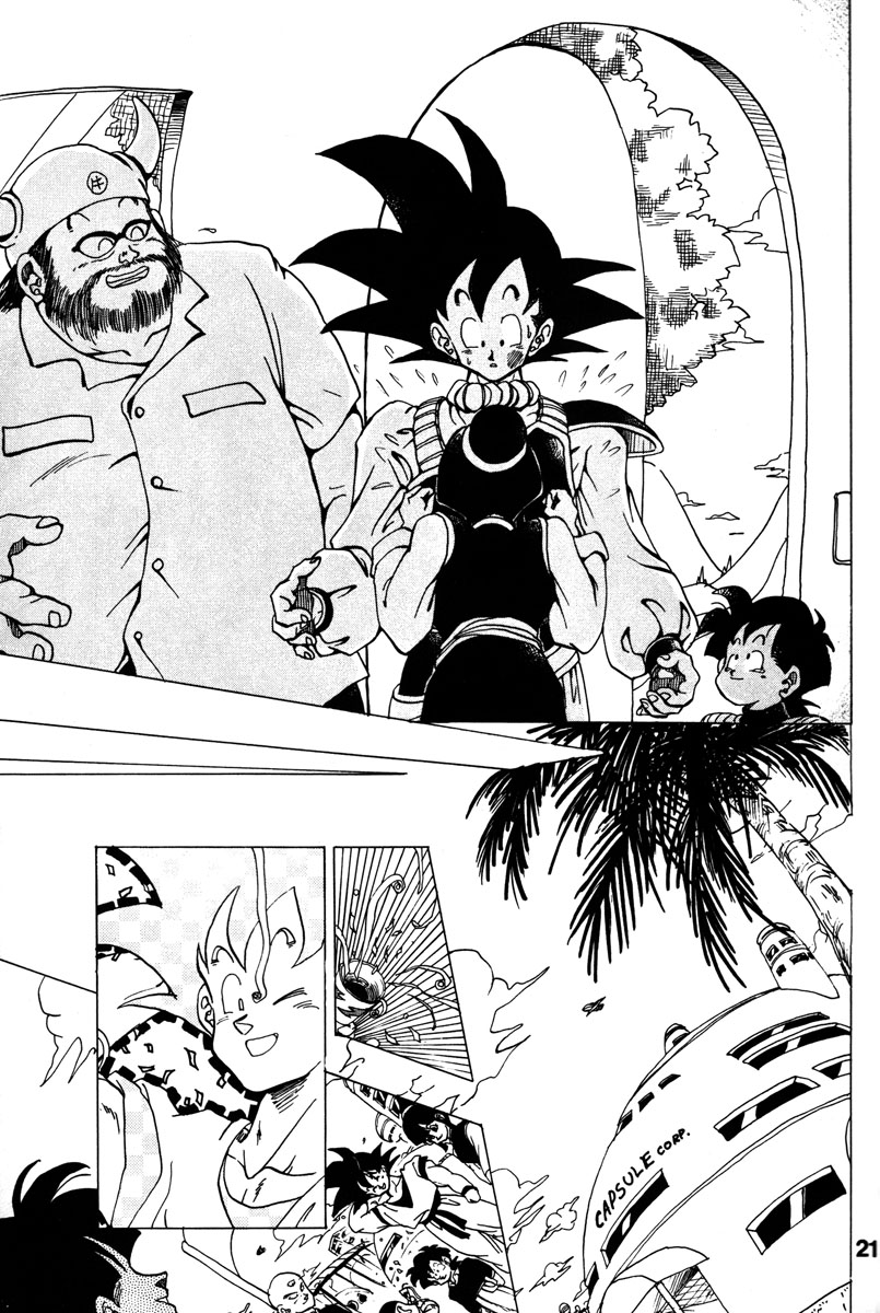 Dragon Ball - A Dream From The World (Doujinshi) Oneshot 第17页