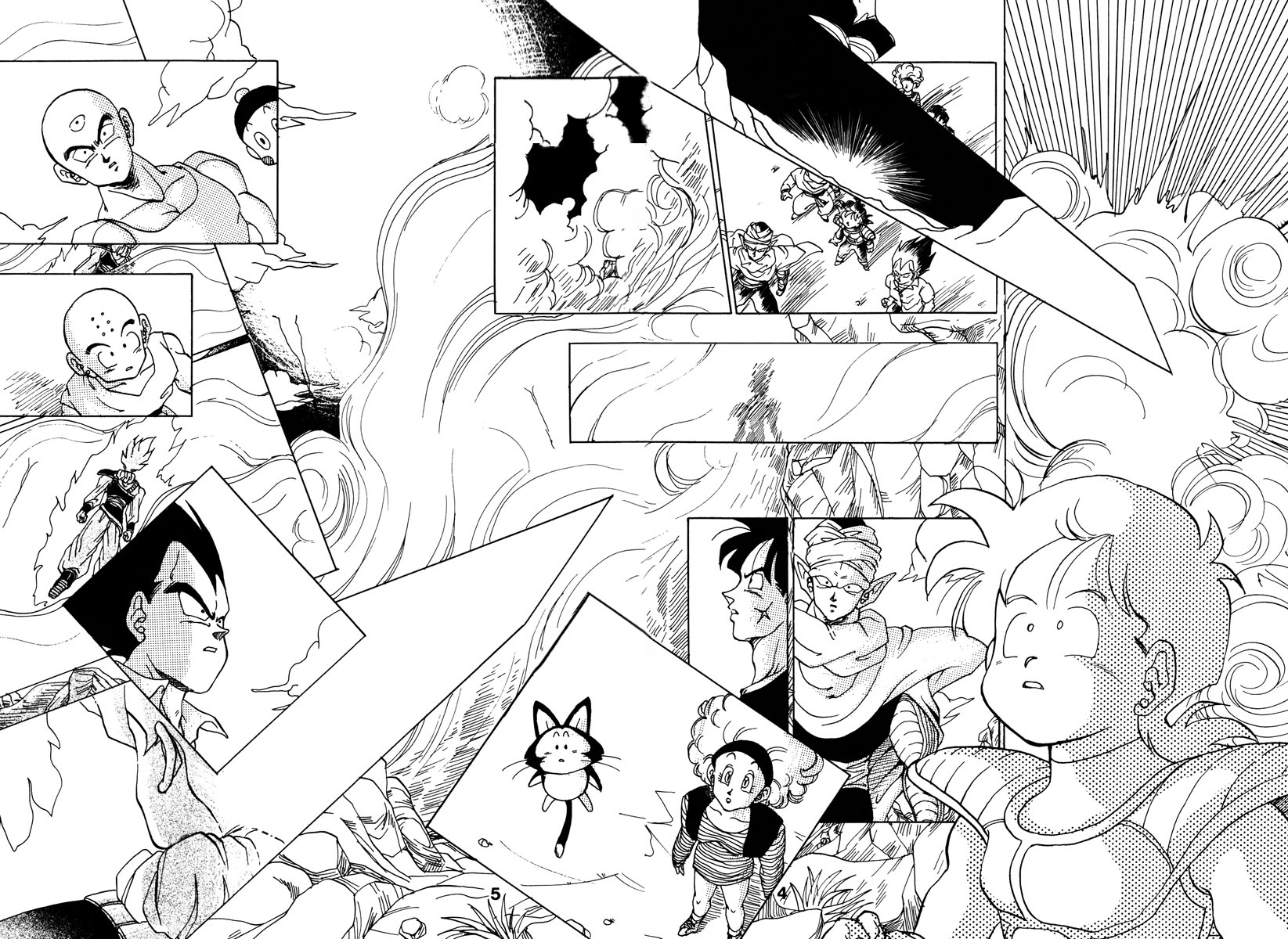 Dragon Ball - A Dream From The World (Doujinshi) 第3页