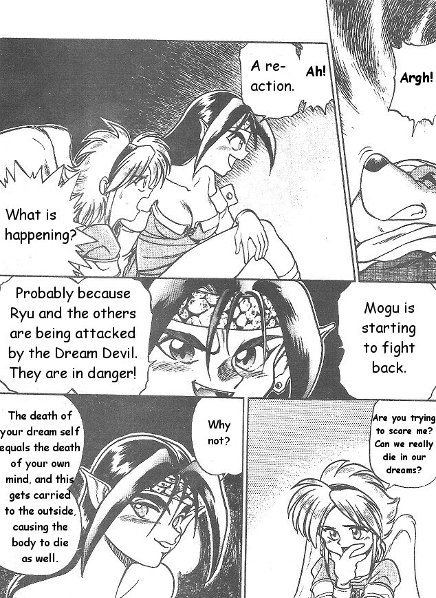 Breath of Fire: The Dragon Warrior Dream Encounter 第30页