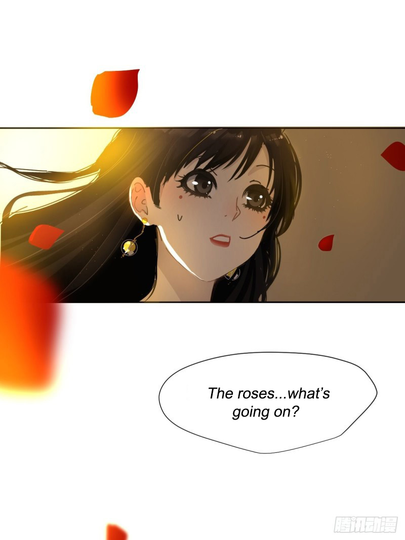 Black-backed albatross What about the said "examiner and roommate" 第40页