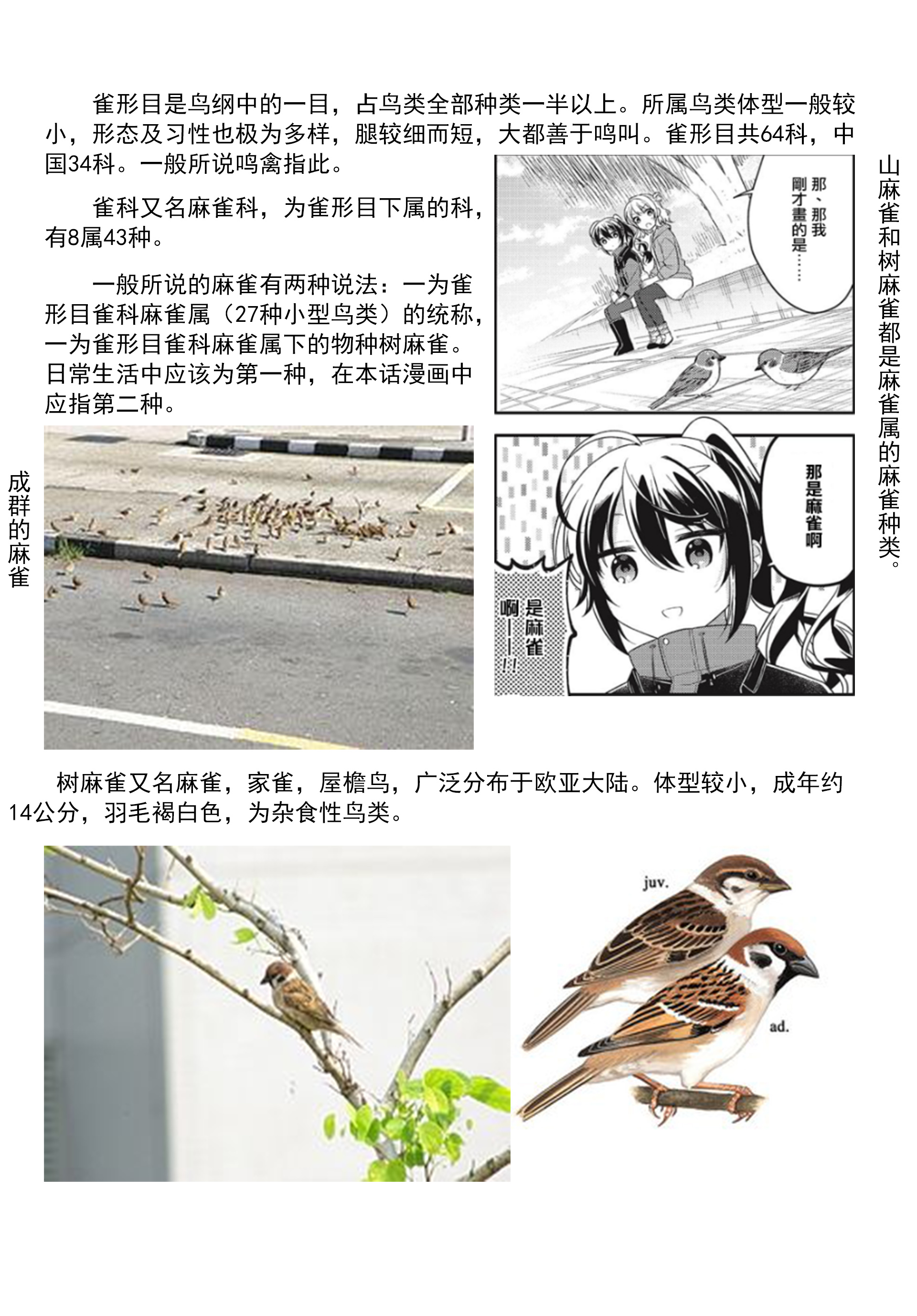 Shiawase Tori-mingu Chapter 2 第9页