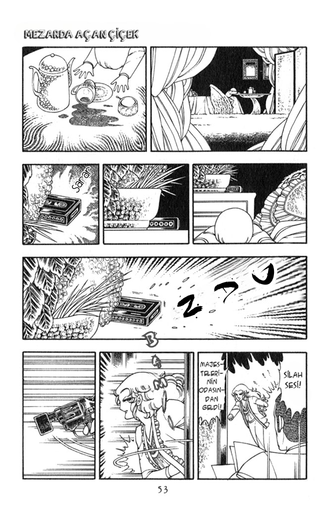 Patalliro! Mezarında Açan Çiçek 第19页