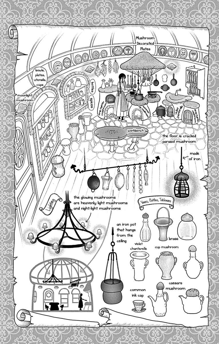 Champignon no Majo A Picture of a Boy 第47页