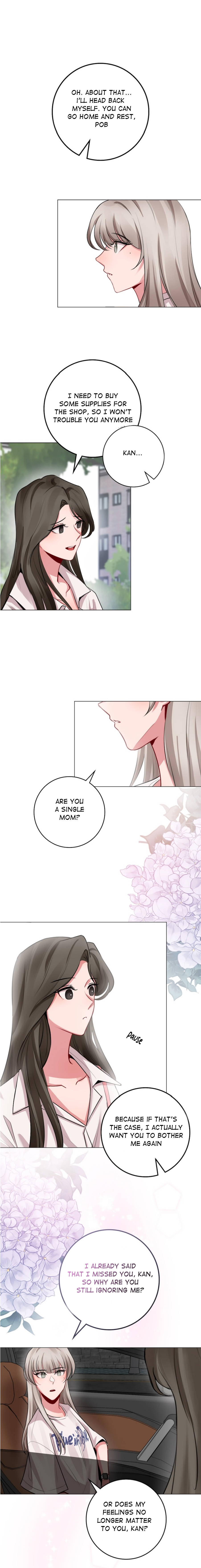 Flower of Youth Hydrangea 第11页
