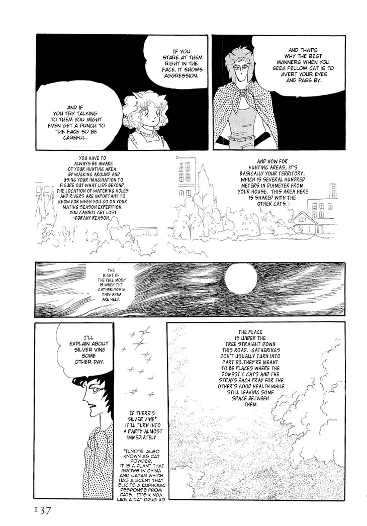 The Star of Cottonland Vol. 1 Ch. 2 第33页