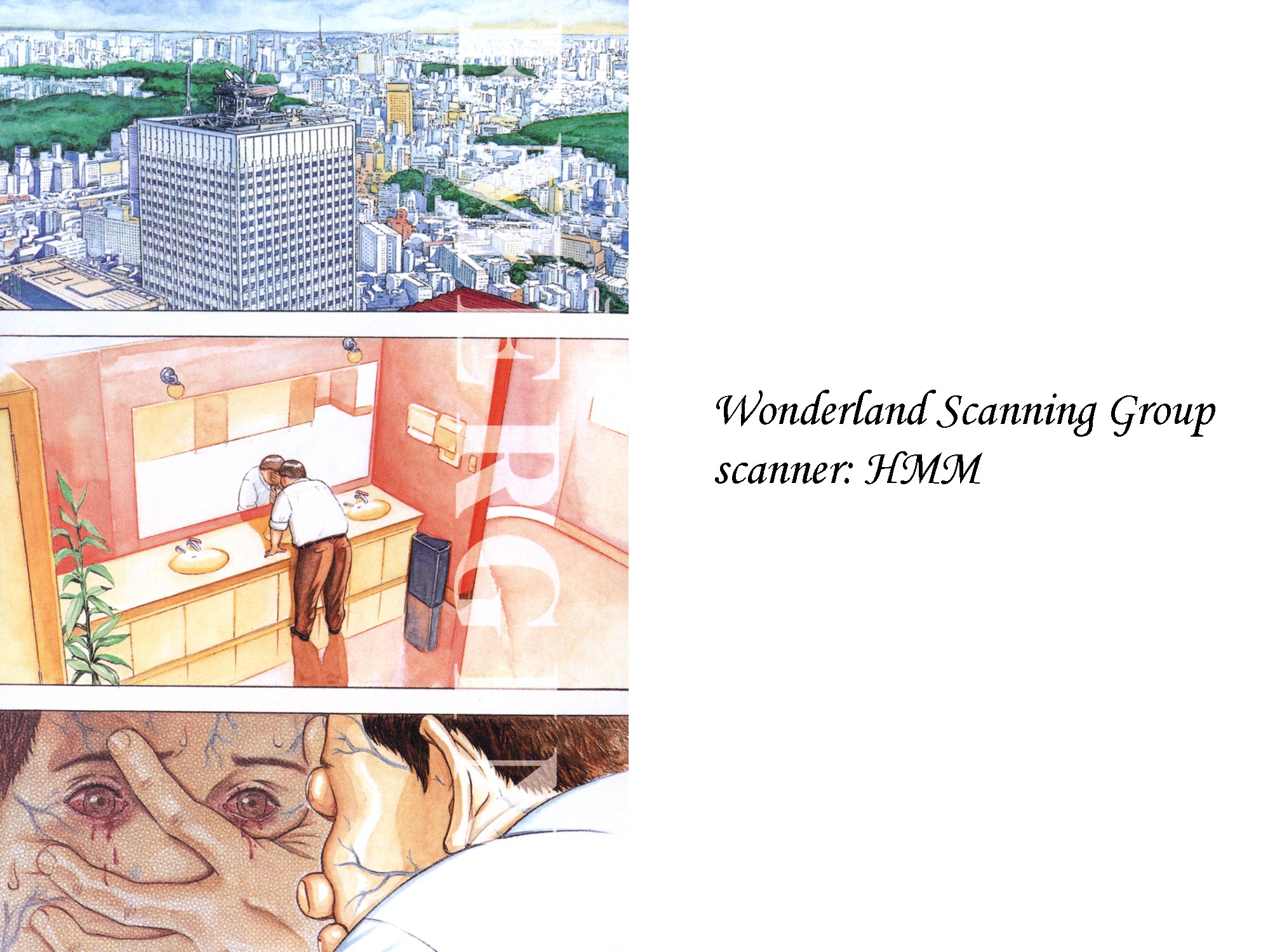 Emerging 第2页