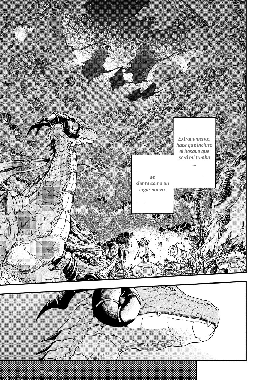 Hone Dragon no Mana Musume Aun no ha llegado la hora del viejo dragon 第19页