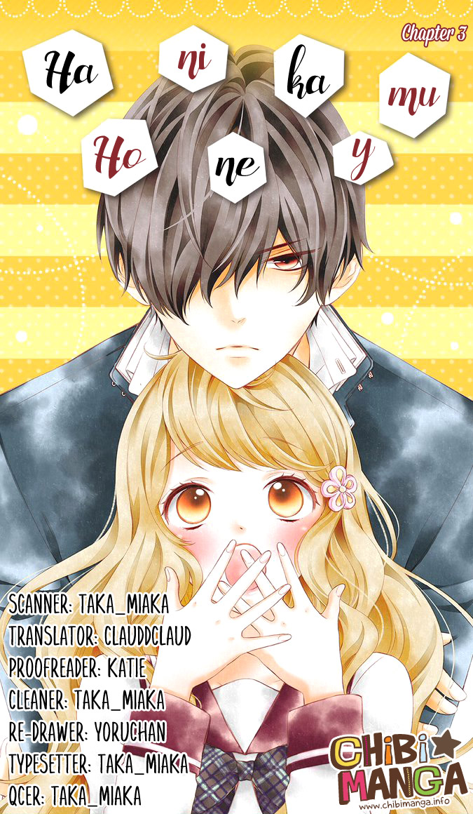 Honey Come Honey Feelings Are Heavy. Also, It's a Charm? 第1页