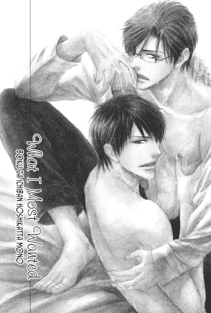 Koibi What I Most Wanted 第3页