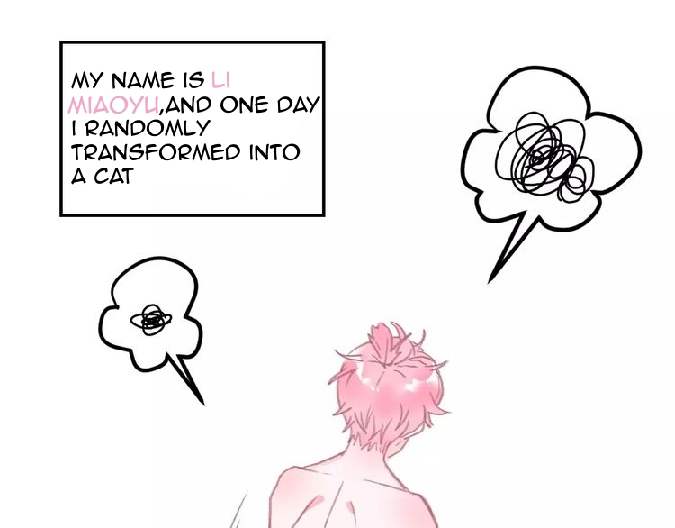 A Cat's World 第1页