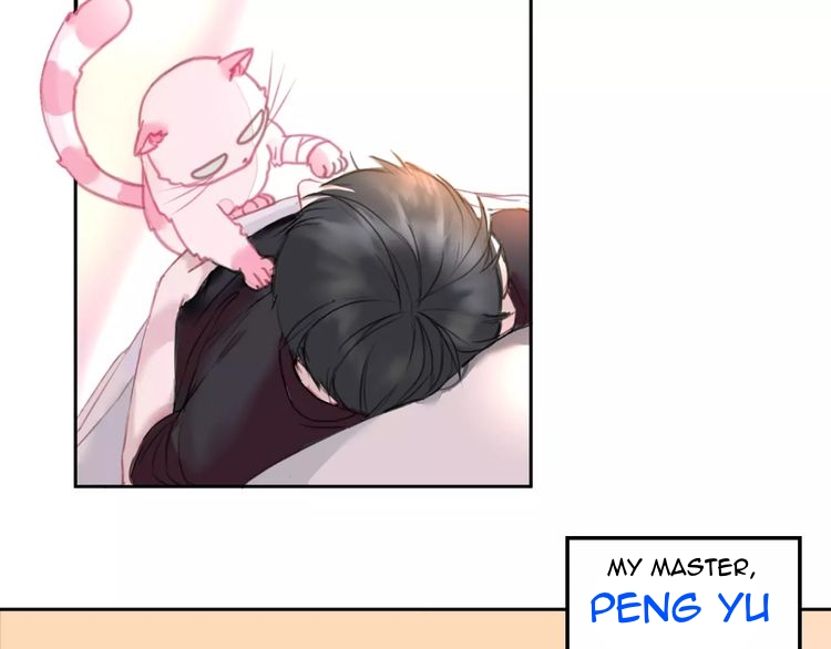 A Cat's World 第3页