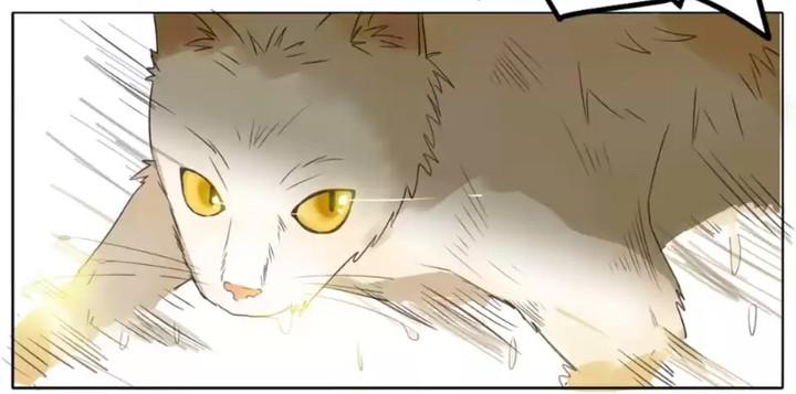 A World Ruled by Cats 第3页