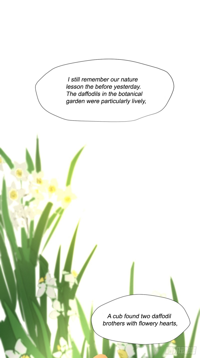 Black-backed albatross Nature accepts them 第24页