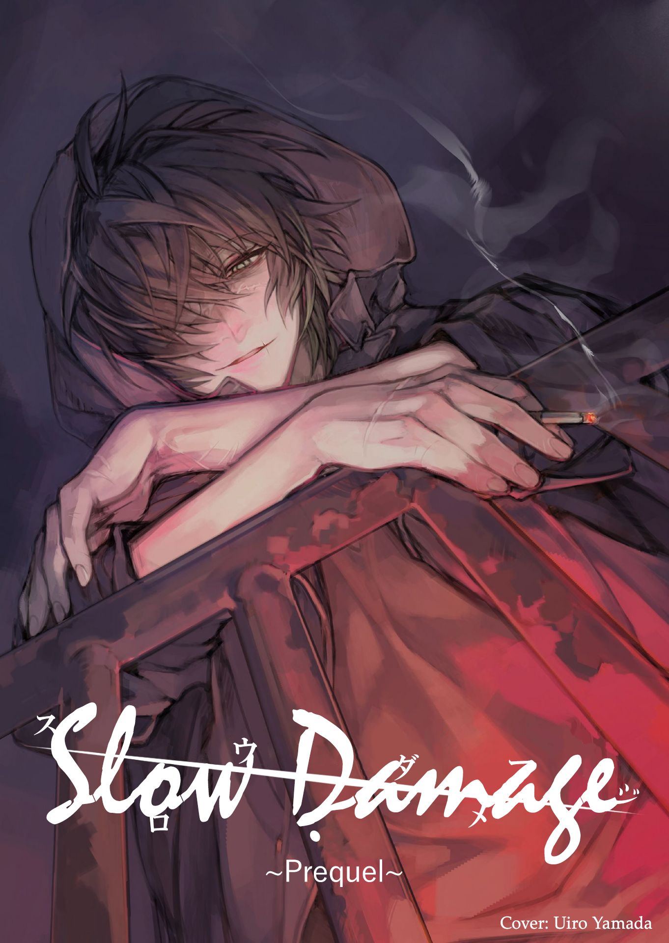 Slow Damage 第2页