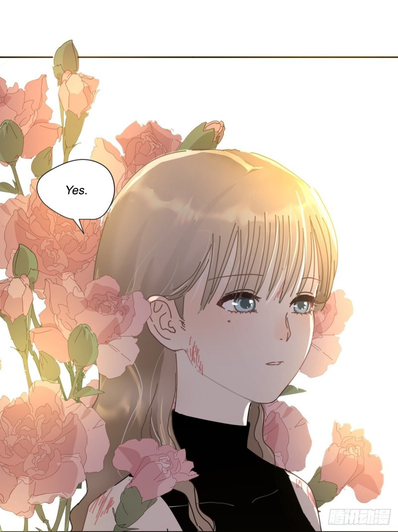 Black-backed albatross She must be in pain 第16页