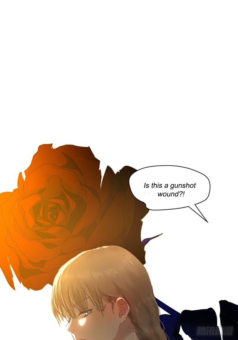 Black-backed albatross She must be in pain 第21页