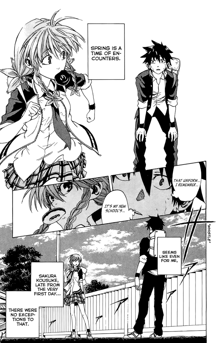 Sakura Discord "Sakura" × "Sakura" 第11页