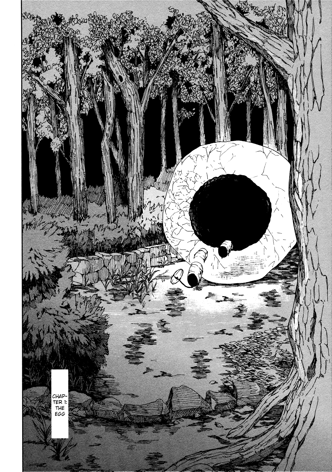 ogeha 第8页