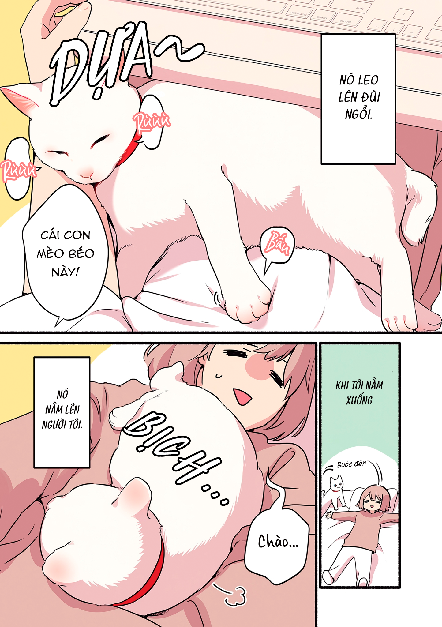Aisaretagari no Shironeko Miko-san Ch. 1.1 第11页