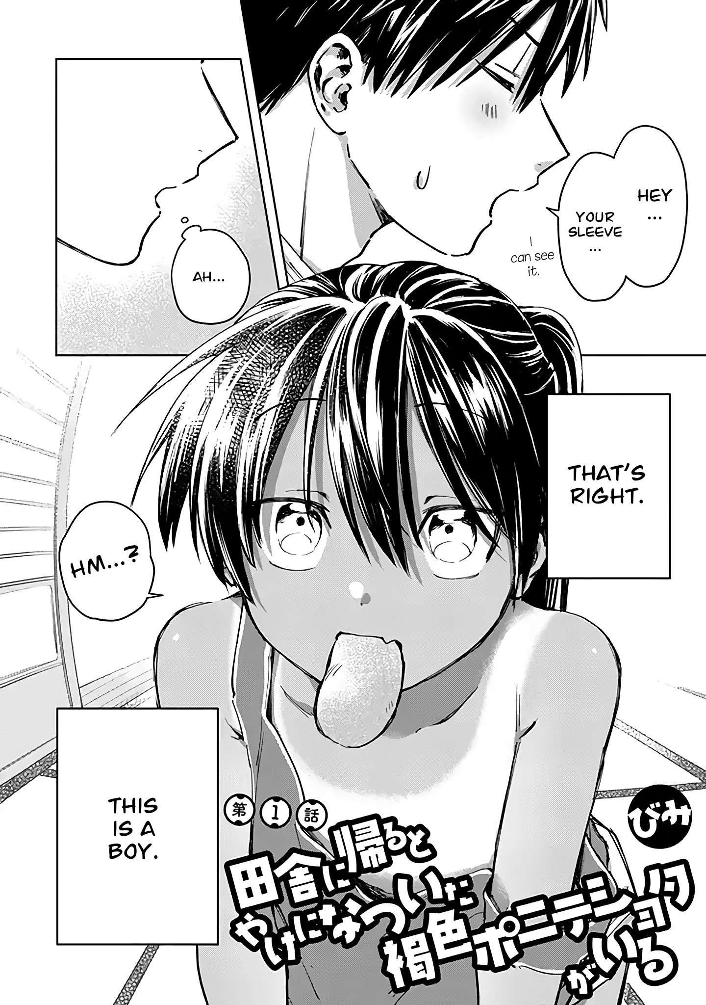Inaka ni Kaeru to Yakeni Natsuita Kasshoku Ponytail Shota ga Iru 第2页